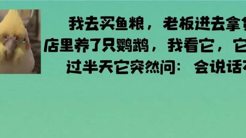 休闲食品新品牌推广十大品牌