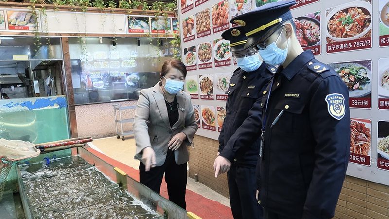 上海狗狗饼干专卖店：宠物零食市场的甜蜜选择**